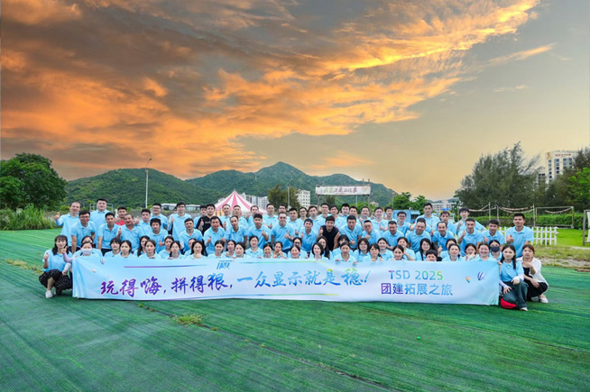 Sommer-Teambuilding: Unvergessliche gemeinsame Momente